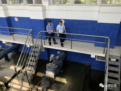 家居用品选购指南 打造舒适生活的必备元素