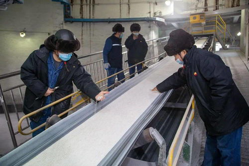 化肥厂顺利完成第二批含海藻酸尿素生产订单，监控设备保障高效运行